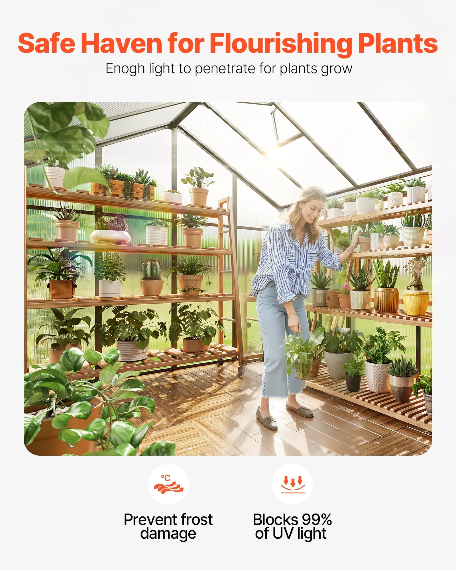 AM036 8 x 12 FT Polycarbonate Greenhouse with 2 Adjustable Vent Windows, Walk-In Aluminum Outdoor Greenhouse Kit with Hinged Door for Garden & Backyard