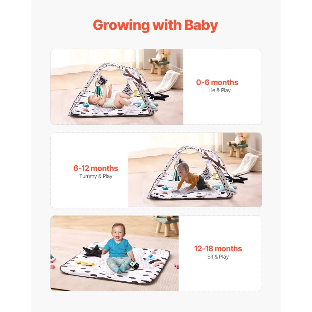 PM1-4 Baby Play Gym Mat with 6 Sensory Toys & 2 Touch Balls, Soft Tummy Time Activity Mat for Newborns (0–18 Months)
