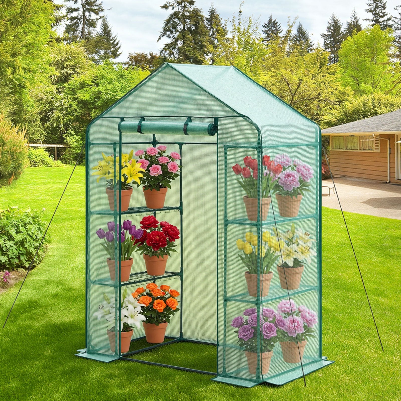 zw_0113 Walk-in Greenhouse 55.5" x 28.3" x 78.7" with PE Cover, 2 Tiers & 4 Shelves, Portable Outdoor Plant Greenhouse